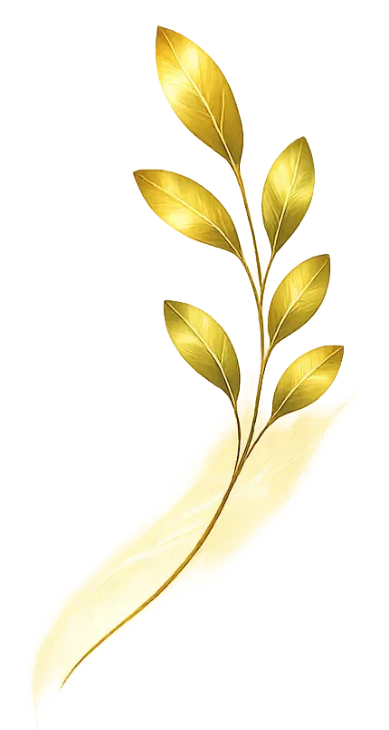feuille droite détouréwebp